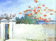 Winslow Homer A Wall, Nassau oil painting